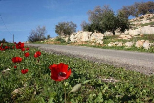 الطقس: أجواء ربيعية اليوم وارتفاع درجات الحرارة غدا