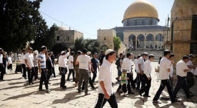 "الخارجية" تحمَّل الاحتلال مسؤولية جرائمه في "الأقصى"
