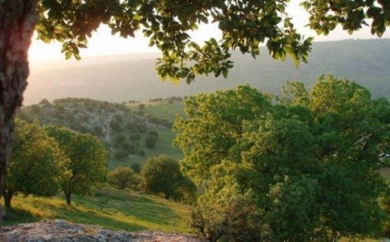 الطقس: أجواء غائمة جزئيا ومعتدلة