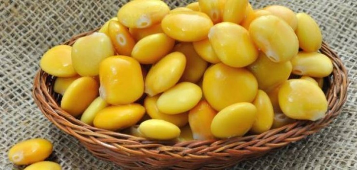 الترمس المر.. كنز من الفوائد الصحية