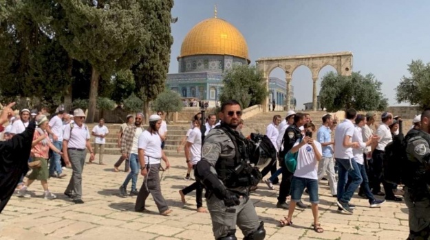 مستوطنون يقتحمون الأقصى في سادس أيام "الفصح العبري"