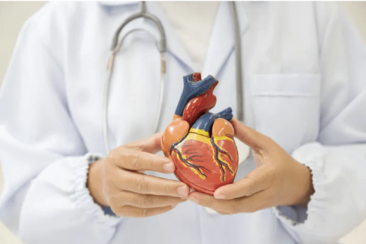 أوعية دموية اصطناعية قد تُحدث تحولا في علاج أمراض القلب