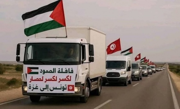 موقع عبري: أوامر إسرائيلية بمنع دخول متظاهرين من مصر إلى غزة ومصر تصدر بياناً رسمياً بشأن &ldquo;قافلة الصمود&rdquo; 