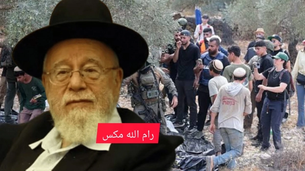 حاخام صهيوني يفتي بشرعنة سرقة الزيتون الفلسطيني