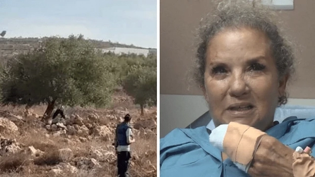 السفير الأميركي: اعتداء المستوطنين على مصورة واشنطن بوست عمل إرهابي ارتكبه جبناء