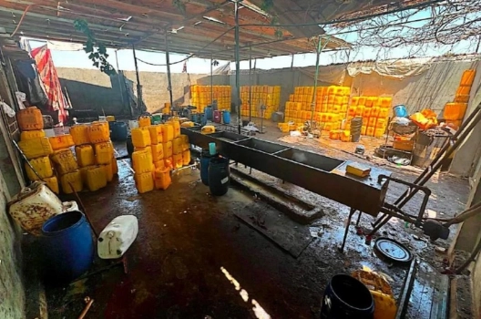 في عز موسم قطف الزيتون: أطنان من الزيت المغشوش يغزو الأسواق ويهدد موائد الفلسطينيين