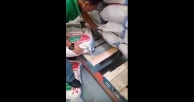 سمع حركة غريبة .. شاهد ماذا وجد بين اكياس الارز؟!!