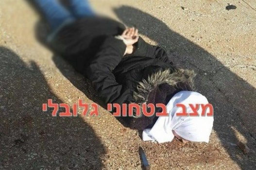 فيديو : اعتقال فتاتين بالخليل وقلقيلية بزعم حيازة سكاكين