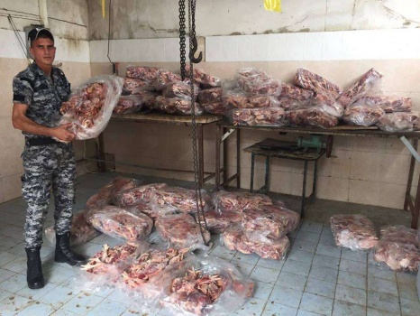 اتلاف طن دجاج فاسد في قلقيلية