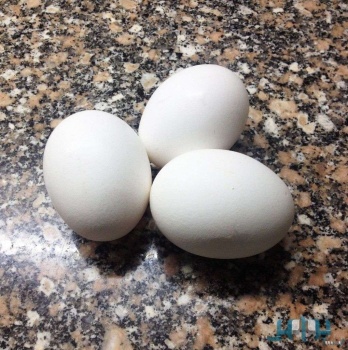 ماذا يحدث لجسمك عند تناول 3 بيضات؟؟