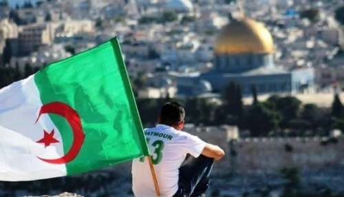 فلسطينية تقبّل قاتل ابنها داخل المحكمة وترفض سجنه لأنه جزائري