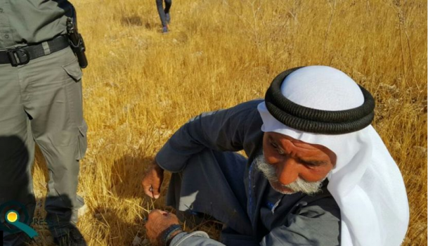 الاحتلال يعتدي على العراقيب لليوم الـ5 واعتقال مختارها ونجله