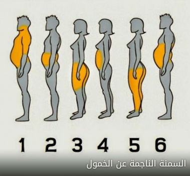 الجزء الأكثر امتلاء في جسمك يحدد أسباب سمنتك!