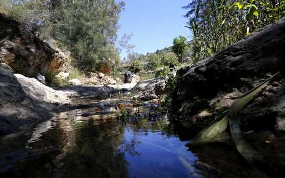 صبحية ورضوان.. لا يرحلان .. محمية وادي عين الزرقاء غرب رام الله