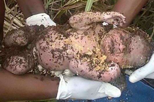 صورة| إخراج رضيع من قبر بعد 3 أيام من دفن أمّه له وهو حيّ لسبب صادم!!