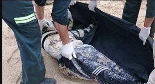 العثور على جثة "مُسنة" متوفية بمنزلها وعليها آثار نهش القوارض و الحشرات لجسدها