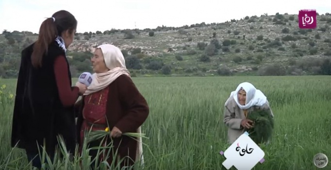 فيديو مؤثر: ردة فعل مسنات فلسطينيات لاجئات عند وصولهن لقريتهن التي هجرن منها عام 48 !