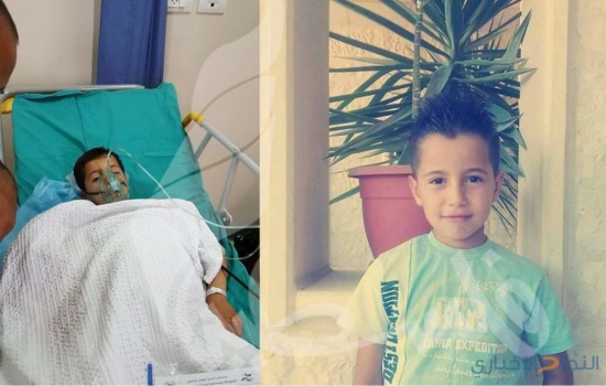 ماذا قالت لجنة السلامة العامة في قلقيلية بخصوص حادثة التهام دب ليد طفل في حديقة الحيوانات