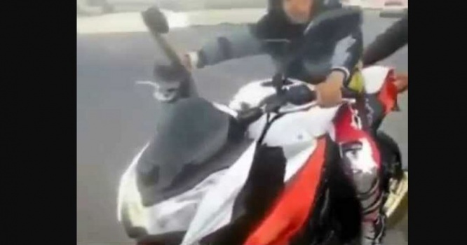 القبض على شخص يقوم بتأجير دراجات نارية لأحداث اعمارهم اقل من 18 عاما