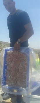 إتلاف 300 كغم دجاج غير صالح للاستهلاك الأدمي في رام الله
