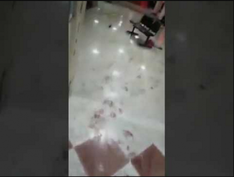 فيديو: وفاة الدكتور فرحان الشياب أثر تعرضه لطلق ناري داخل مستشفى في الرمثا