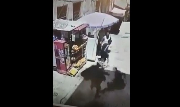 فيديو : شهيد برصاص الاحتلال بعد طعنه شرطيا بالقدس -تفاصيل كاملة