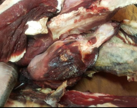 اتلاف 25 كغم لحوم غير صالحة بأريحا