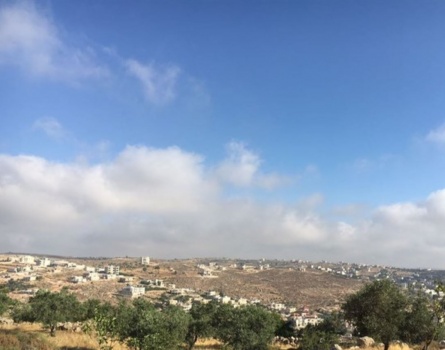 الطقس: غائم جزئي الى صاف