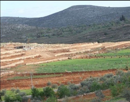 اسرائيل تشرع ببناء بؤرة استيطانية جنوب نابلس