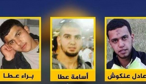 التماس لـ"العليا الإسرائيلية" لاسترداد جثامين 3 شهداء من دير أبو مشعل