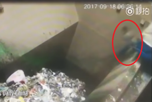 فيديو مروّع : عامل دُفنَ حياً تحت جبل من القمامة!