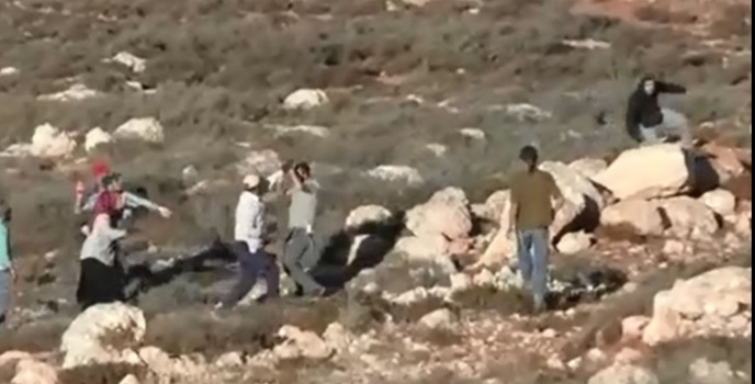 شاهد- هجوم المستوطنين على قاطفي الزيتون شرق نابلس
