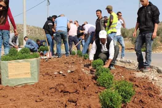 بالصور...يوم عمل تطوعي وزراعة أشجار جنوب غرب جنين