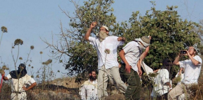 مستوطنون يهاجمون قاطفي الزيتون جنوب نابلس