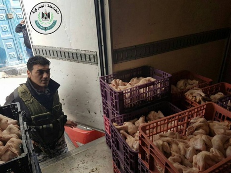 بالصور..ضبط أكثر من "نصف طن" دجاج مجهول المصدر وغير صالح للاستهلاك الآدمي في الخليل
