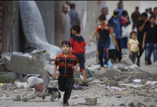 استشهاد (14) طفلا منذ بداية العام