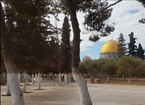 التشيك تنضم لأمريكا وتعترف بالقدس عاصمة لإسرائيل