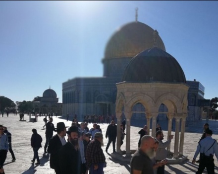 الحكومة تطالب بتحرك عاجل وتحذر من التصعيد