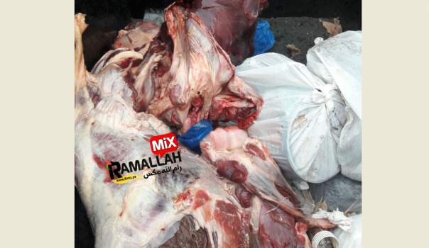 بالصور..إتلاف لحوم ومواد غذائية فاسدة في جنين