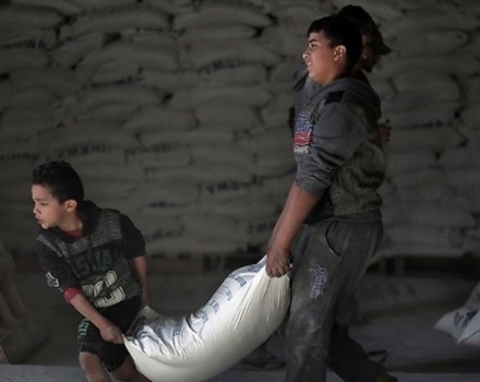 ماذا ستفعل "الأونروا" بعد وقف الدعم الأمريكي؟