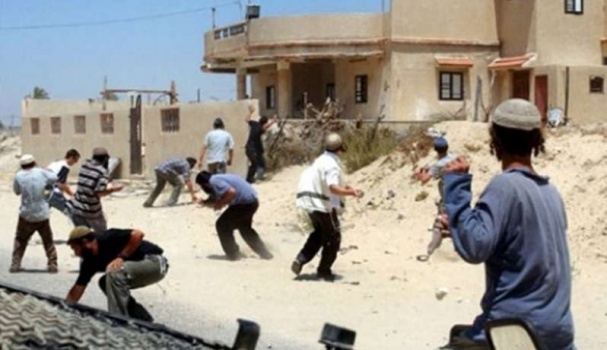 مستوطنون يهاجمون بلدتي جيت وفرعتة شرق قلقيلية