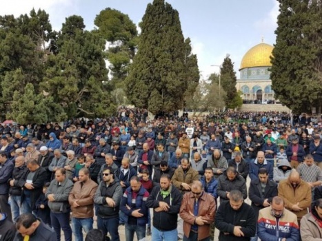 50 ألف مصلّ أدوا صلاة الجمعة في الأقصى