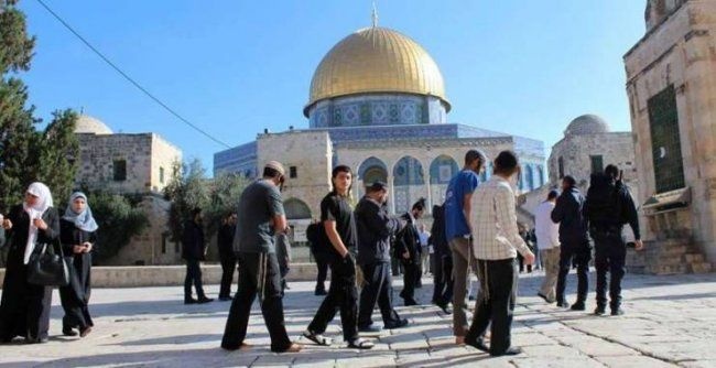 العدد مرشح للارتفاع 300 مستوطن يقتحمون باحات الاقصى بحماية شرطة الاحتلال الخاصة