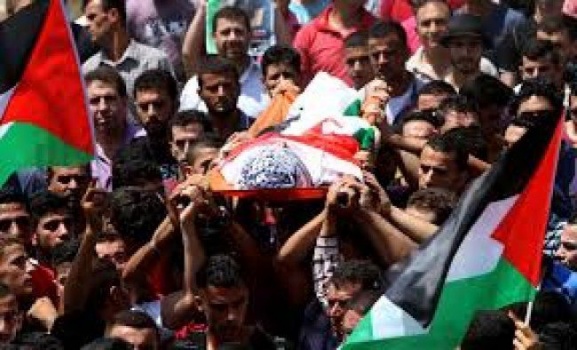 غزة: استشهاد عبدالله الشحري برصاص الاحتلال