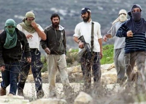 مستوطنون عبر "فيسبوك": اقطعوا رأس كل طفل فلسطيني