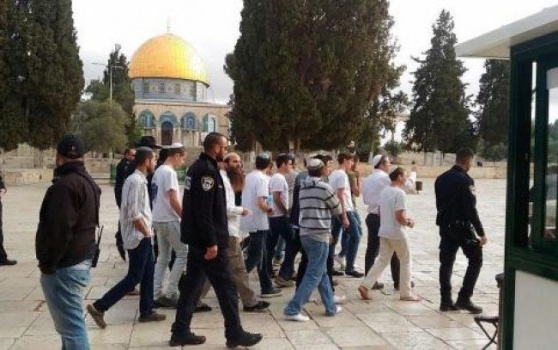 3899 مستوطناً اقتحموا المسجد الأقصى في نيسان