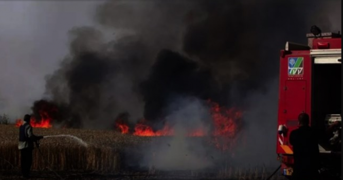 حريق في غابة بفعل طائرة ورقية