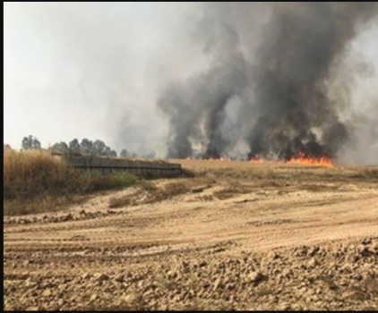 نتنياهو: الحرب مع غزة قد تقع في أي لحظة