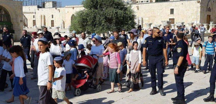 300 مستوطن برفقة أطفالهم يقتحمون الأقصى