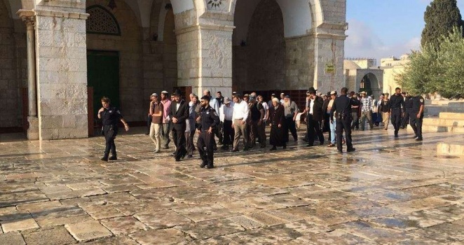 52 مستوطنا يدنسون المسجد الأقصى بحماية شرطية